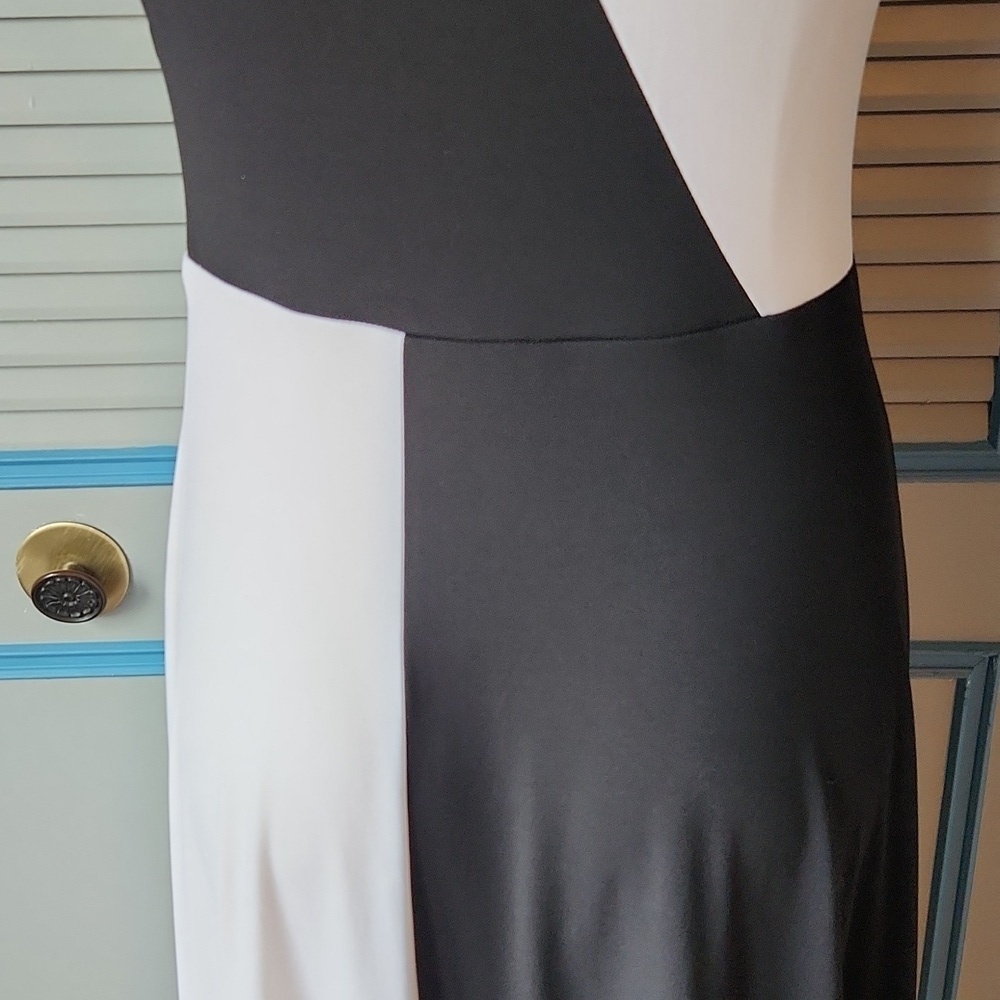 Roz & Ali Black & White Colorblock Dress - Picture 8 of 11